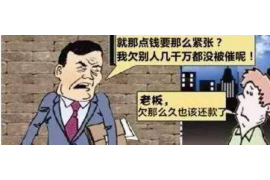 楚雄融资清欠服务